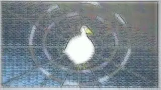 Roads - Anisometry