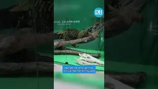 Vía al museo en Villavieja será mejorada