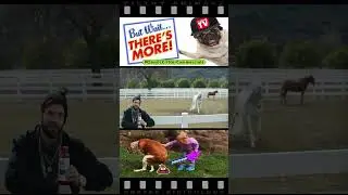 Bai Horse Whisperer (None of this makes sense)