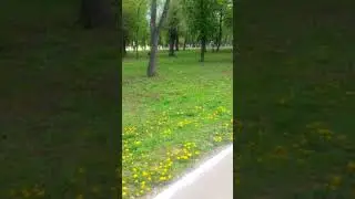 Самара, парк дружбы