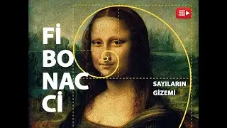 SAYILARIN GİZEMİ / FİBONACCİ EĞRİSİ / Nature by numbers