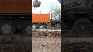 9 июня 2024 г.