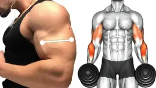The 6 best exercises for biceps.