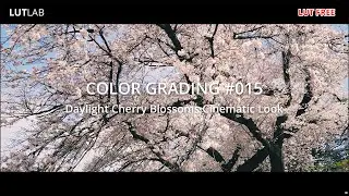 COLOR GRADING 015 - Daylight Cherry Blossoms Cinematic Look | LUT Free