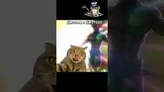 #спидвагон228