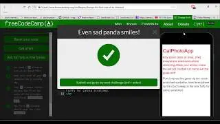 Change the Font Size of an Element - freeCodeCamp HTML5 and CSS lesson #12