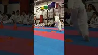 Лео, отчет по Тайквондо 5
