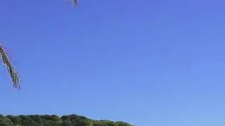 Caipirinha in Hawaii Ambient Romantic Backgrounds Music |D Music Gallery