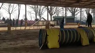 2020.02.09 - Agility 2 GARU