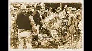 Trappers History