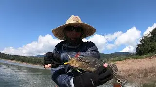 Pesca de Pavon en la represa de Hidrosogamoso -  Tucunare Fishing Topocoro