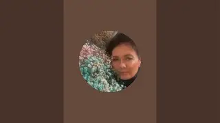 Поющая Фея в прямом эфире!