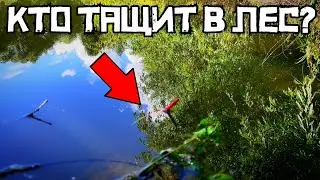 ЛЕС ЗАТОПИЛО и НАЧАЛОСЬ! Клюёт дикий КРУПНЯК!? Рыбалка 2024 в июле на поплавок.
