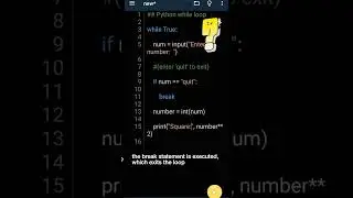 #2 Python while loop example: Understanding Infinite Loops | Python for Beginners