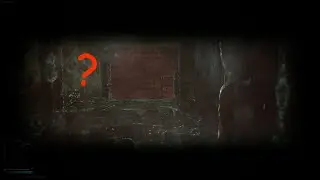 braindead tarkov pvp