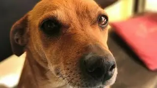 Небольшая прогулка с Люсей❤️