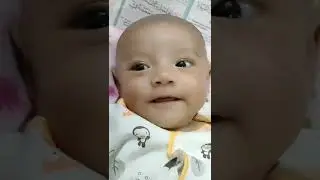 BAYI LUCU BIKIN GEMES 
