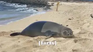 Compilation of T H I C C seals