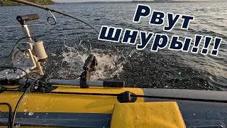 ХОРОШИЙ СПИННИНГ ЛОВИТ НА ПЕРВЫХ ЗАБРОСАХ!!! СУДАК РВЁТ ШНУРЫ!!!