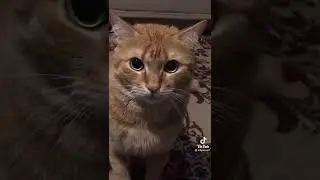 11 ноября 2021 г.