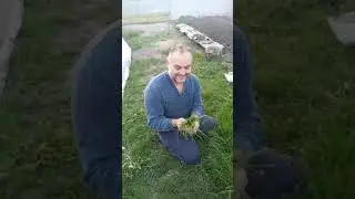 Я как будто изверг! ЖЕНА НАВСЕГДА УШЛА!