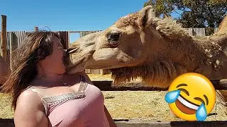 Best Funny Videos🤣 Try Not To Laugh🤣 Funny & Hilarious People's Life 😂 #58