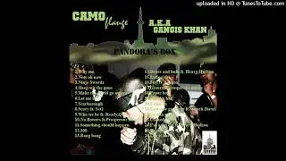 Camoflauge - War 2005