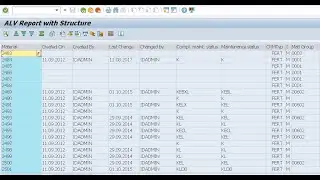 SAP ALV REPORT WITH STRUCTURE