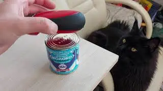 Тест автоматического консервного ножа с АлиЭкспресс Mini Can Opener.