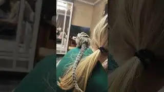 Обезьянка Игрунка