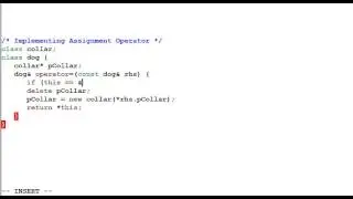 Advanced C++:  Assignment to Self in Assignment Operator