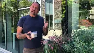 How to refresh your planters in July to keep them looking their best