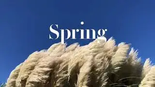 ThisIsSpring