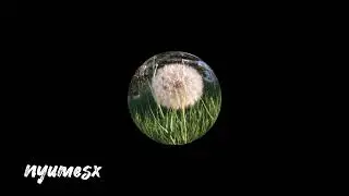 Without me 1 minute dance material remix | cleanmix 2023