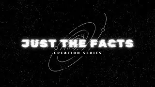 Just the Facts - October 20, 2024