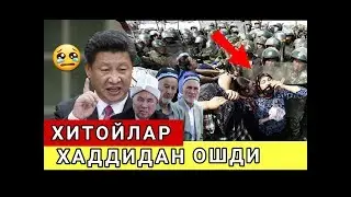 БУНИ СРОЧНО КУРИНГ ХИТОЙЛАР  😥 ХАДДИДАН ОШДИ МУСЛИМА КИЗЛАРНИ КИМ ХИМОЯ КИЛАДИ