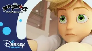 🍝 Rada Ruchu Oporu | Miraculous: Biedronka i Czarny Kot | Disney Channel Polska