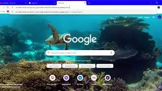 How to join my animations discord
