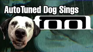 I AutoTuned My Dog And Made A Tool Song