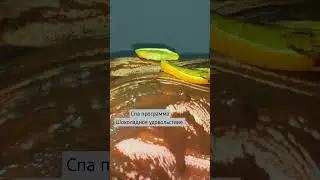 Ароматерапия- апельсин+шоколад - спа-процедура (2 часа) в удовольствие! #лаурасатумян #москва #арома