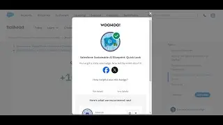 Salesforce Sustainable AI Blueprint: Quick Look | Salesforce Trailhead | Quiz Solution