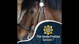 Inside the Garda Mounted Unit