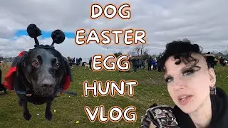 Dog Easter Egg Hunt Vlog | Madame Absinthe