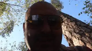 Гавно собачье