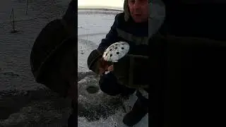 ЛЕД, Онего, Заонежье. 22.11. 23 #рыбалкавкарелии