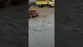 truck truck sawit nunjukin aktraksi jungkir #shorts