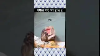 #shorts After Exam Feelings 😂