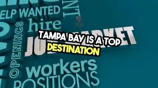 Discover Why Tampa Bay Is A Top Destination in 2024! VEED 1