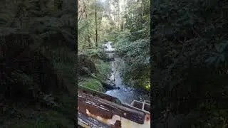Coalition Creek, Korumburra, Victoria, Australia