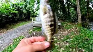 Pesca en el rio San José